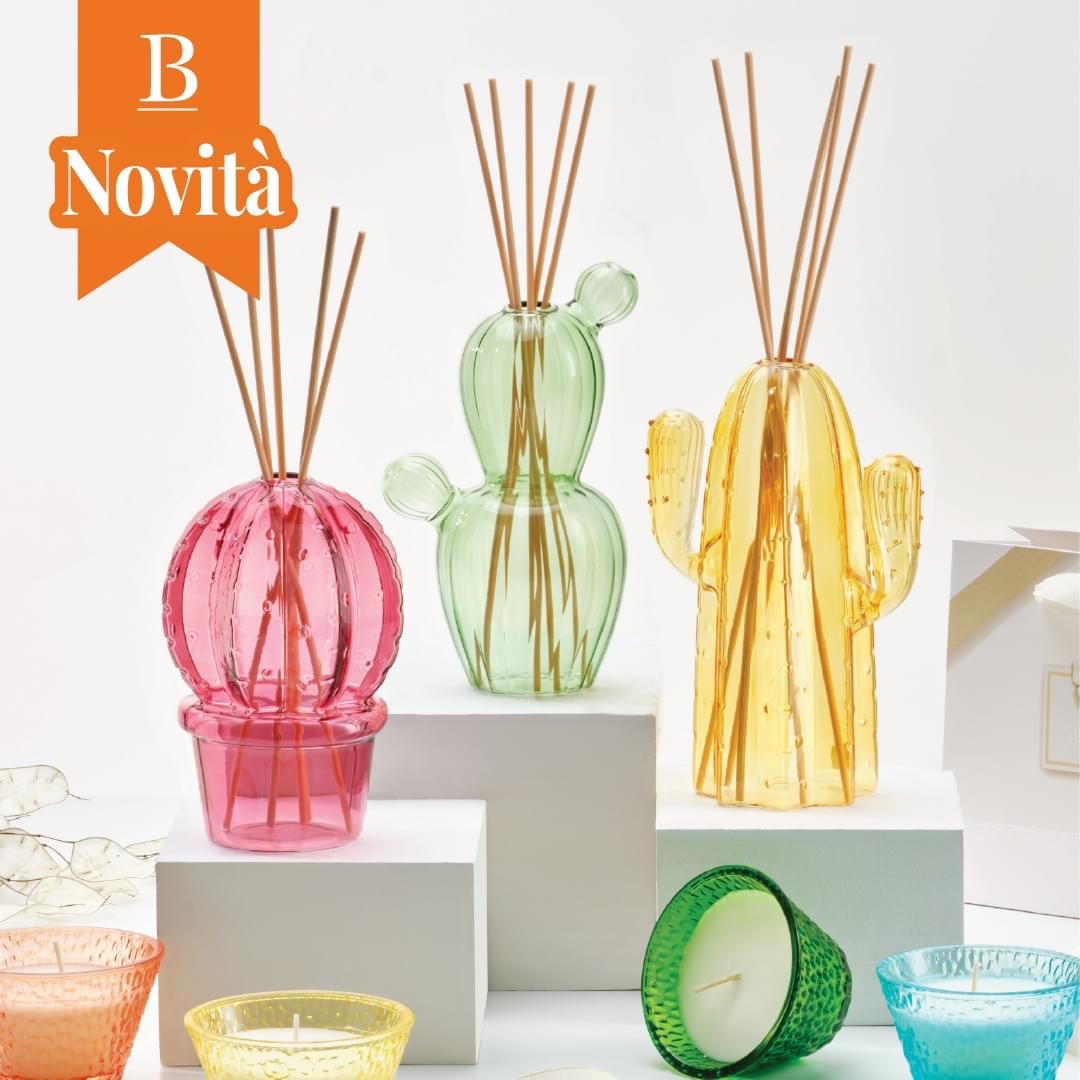 Brandani Ekol Diffusore Di Fragranza Cactus Verde Vetro Bastoncini